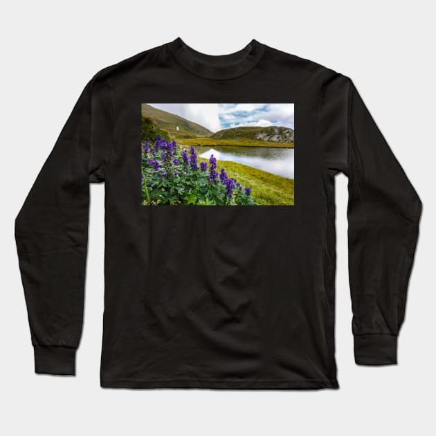 Mountain flowers by a glacial lake Long Sleeve T-Shirt by naturalis